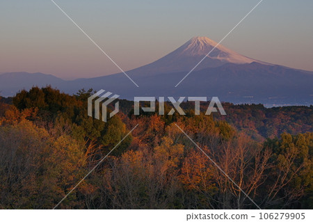 Mt. Fuji dyed in the morning sun against the background of a clear sky and Darumayama Kogen in late autumn Ver2 Mt. Fuji dyed in the morning sun against the background of a clear sky and Darumayama Kogen in late autumn Ver2 106279905