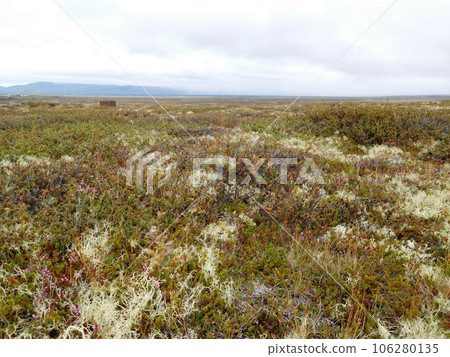 Eirantay near Myvatn, Iceland Eirantay near Myvatn, Iceland 106280135