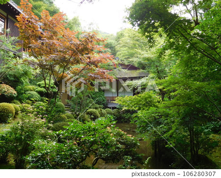 Kyoto Ohara Jakkoin Koun tea room 106280307