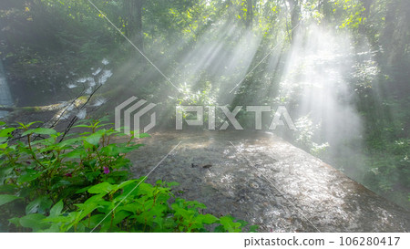 Scenery where the rays of light shine into the Kitanisawa mountain stream Scenery where the rays of light shine into the Kitanisawa mountain stream 106280417