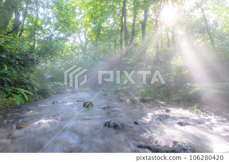 Scenery where the rays of light shine into the Kitanisawa mountain stream 106280420