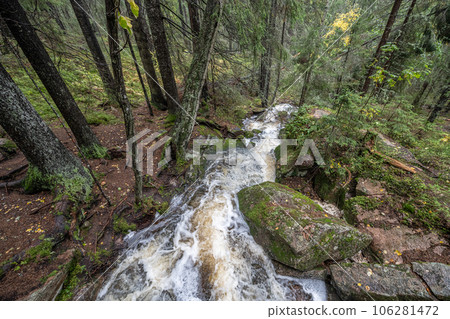 hiking footpath in forest between trees in Skuleskogen National Park in Sweden in northern Europe Hoga Kusten hiking footpath in forest between trees in Skuleskogen National Park in Sweden in northern Europe Hoga Kusten 106281472