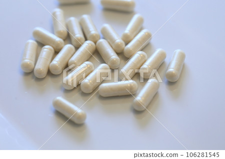 Supplement 106281545