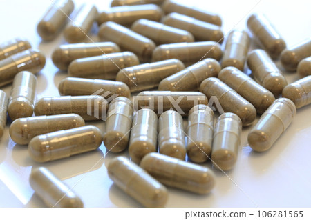 Supplement 106281565