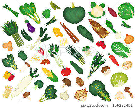 Watercolor illustration of vegetables and mushrooms Watercolor illustration of vegetables and mushrooms 106282491