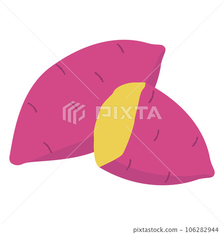 sweet potato vector illustration 106282944