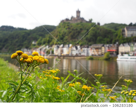Kochel Castle (Germany) in August 2023 Kochel Castle (Germany) in August 2023 106283180