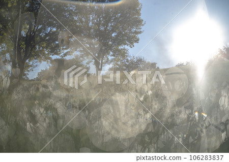 Fresh fresh green image material Fresh fresh green image material 106283837