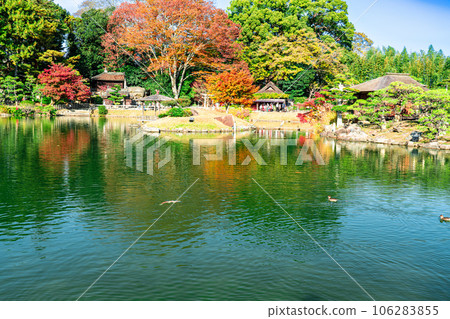 [Three Great Gardens of Japan] Special Place of Scenic Beauty Korakuen in late autumn Autumn leaves seen from Mt. Yuishin Kita Ward, Okayama City, Okayama Prefecture 106283855