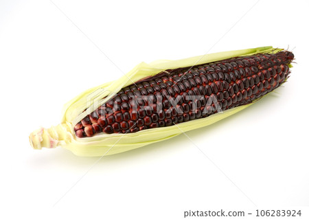 Purple corn 106283924