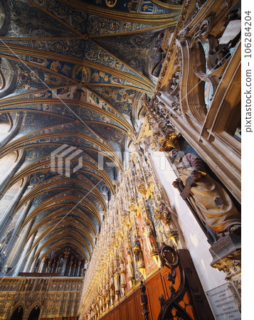 Albi Cathedral in early September (France) 106284204