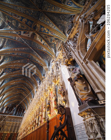 Albi Cathedral in early September (France) 106284205