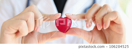 Woman cardiologist holds small red heart in her hands close up. 106284525