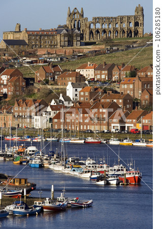 Whitby - North Yorkshire - England 106285180