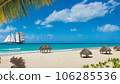 beach with palm trees and beach 106285536