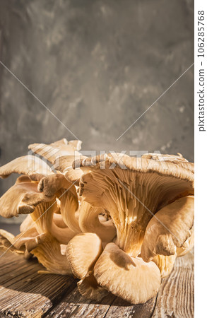 Fresh harvest of oyster mushrooms on an old wooden table, close-up with copy space. Vertical frame of delicious mushrooms for cooking vegetarian meals Fresh harvest of oyster mushrooms on an old wooden table, close-up with copy space. Vertical frame of delicious mushrooms for cooking vegetarian meals 106285768
