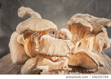 Oyster mushroom harvest lies on an old wooden table, close up with copy space, gray neutral background. Horizontal frame of fresh tasty mushrooms for healthy cooking Oyster mushroom harvest lies on an old wooden table, close up with copy space, gray neutral background. Horizontal frame of fresh tasty mushrooms for healthy cooking 106285769