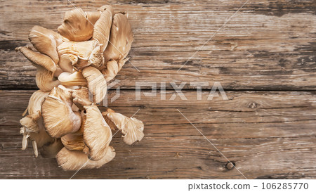 Oyster mushroom harvest lies on an old wooden table, layout with copy space. Fresh tasty mushrooms for healthy eating and cooking Oyster mushroom harvest lies on an old wooden table, layout with copy space. Fresh tasty mushrooms for healthy eating and cooking 106285770