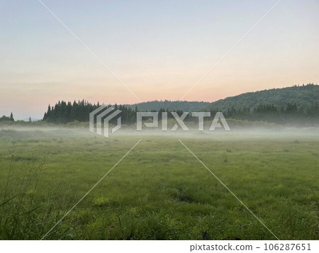 Early morning wetlands wrapped in morning mist Early morning wetlands wrapped in morning mist 106287651