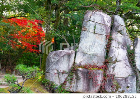 [Three Great Gardens of Japan] Special Place of Scenic Beauty, Late Autumn in Korakuen, Otateishi and Autumn Foliage 1, Kita Ward, Okayama City, Okayama Prefecture 106288155