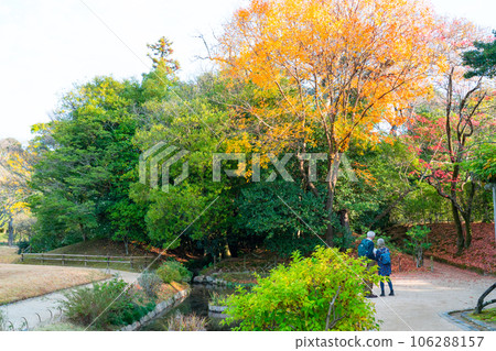 [Three Great Gardens of Japan] Special Place of Scenic Beauty Korakuen in late autumn Fall foliage inside 1 Kita Ward, Okayama City, Okayama Prefecture 106288157