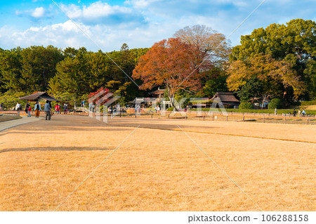 [Three Great Gardens of Japan] Special Place of Scenic Beauty Korakuen in late autumn Fall foliage inside 2 Kita Ward, Okayama City, Okayama Prefecture 106288158