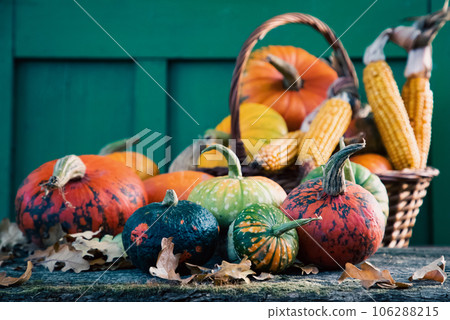 pumpkins in autumn Thanksgiving card pumpkins in autumn Thanksgiving card 106288215