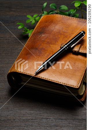 System notebook and pen 106289290