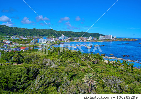 從千葉縣南房總市白濱野島崎燈塔展望台看到的東北側(野島崎公園東停車場等) 從千葉縣南房總市白濱野島崎燈塔展望台看到的東北側(野島崎公園東停車場等) 106289299