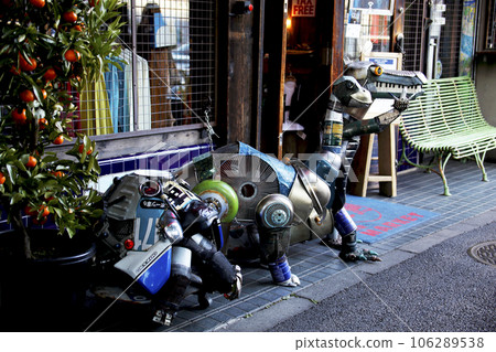 商店裡陳列著用廢棄材料製成的恐龍物品 106289538