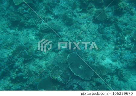 沖繩海 沖繩海 106289670