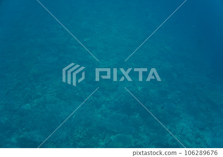 沖繩海 106289676