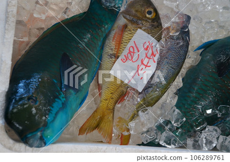 沖繩的魚店 106289761