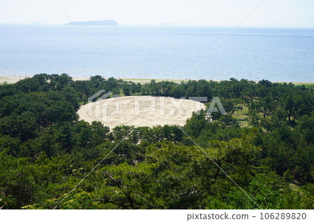 Monbukagaki 106289820