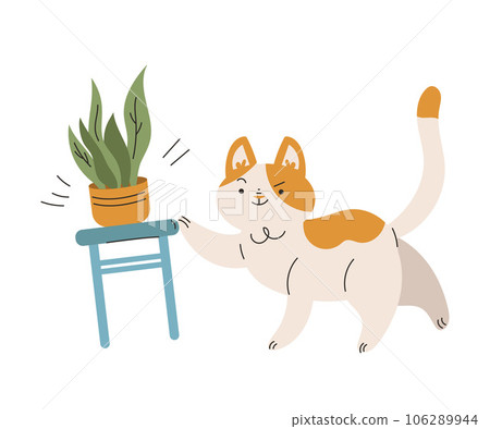 Funny Cat Domestic Pet with Pretty Snout Push Chair with Houseplant in Pot Vector Illustration Funny Cat Domestic Pet with Pretty Snout Push Chair with Houseplant in Pot Vector Illustration 106289944
