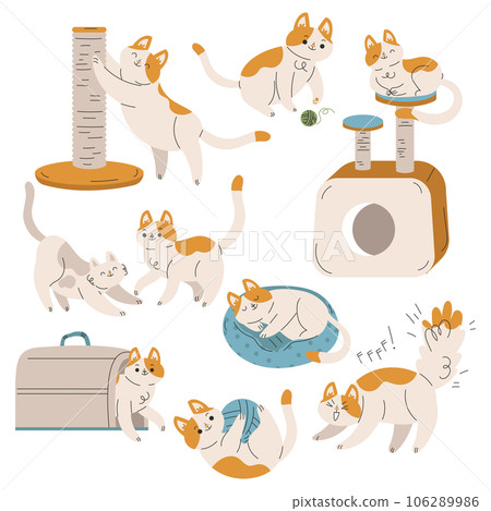 Funny Cat Domestic Pet with Pretty Snout Engaged in Different Activity Vector Set Funny Cat Domestic Pet with Pretty Snout Engaged in Different Activity Vector Set 106289986