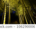 Bamboo grove light up 106290006