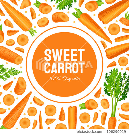Bright Carrot Vegetable and Crop Banner Design Vector Template 106290019