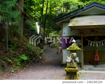 path beside the shrine path beside the shrine 106290184