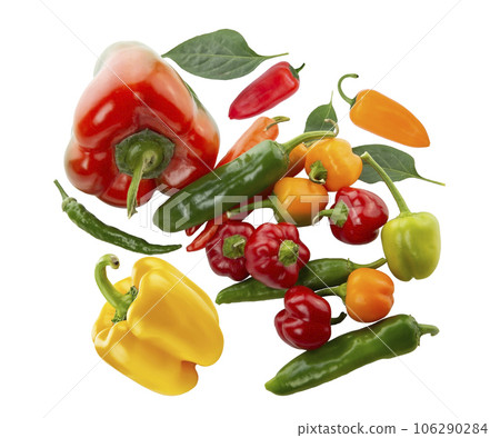 Assorted colorful varieties of hot and sweet peppers isolated on white . Assorted colorful varieties of hot and sweet peppers isolated on white . 106290284