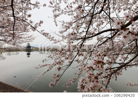 空子遺址的鑰匙,櫻花 空子遺址的鑰匙,櫻花 106290420