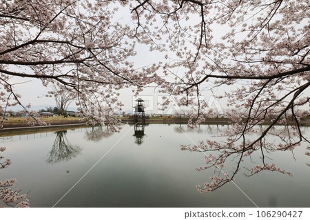 空子遺址的鑰匙，櫻花 106290427