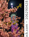 Night cherry tree and sky tree 106290428