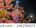 Night cherry tree and sky tree 106290429