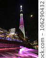 Sky Tree and Fountain Light Up Pink 106290432