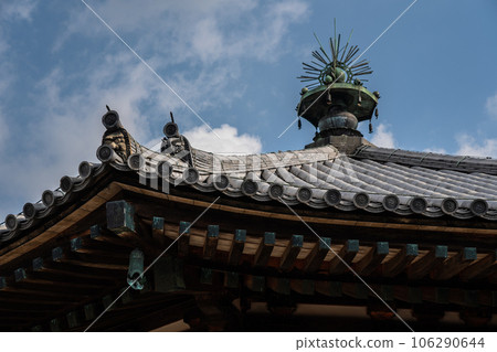 Nara Prefecture Horyuji Yumedono World Cultural Heritage 106290644