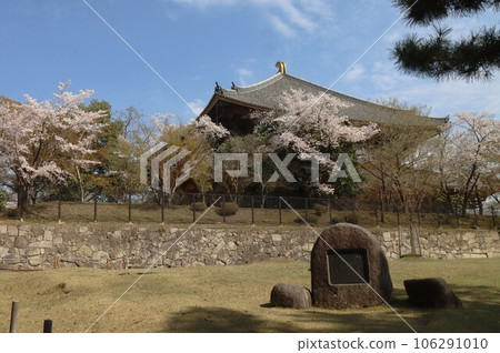 Nara scenery with cherry blossoms Nara scenery with cherry blossoms 106291010