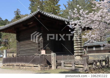 Nara scenery with cherry blossoms 106291122