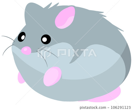 Campbell hamster 106291123