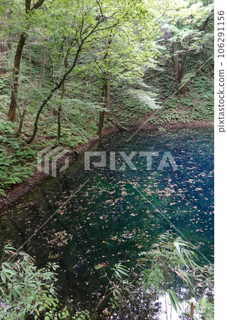Blue Pond of Juniko in Fukaura Town, Aomori Prefecture Blue Pond of Juniko in Fukaura Town, Aomori Prefecture 106291156
